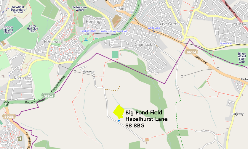 Bigpondfield.png